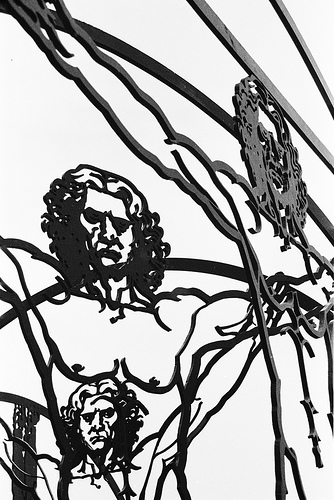 vitruvian-man